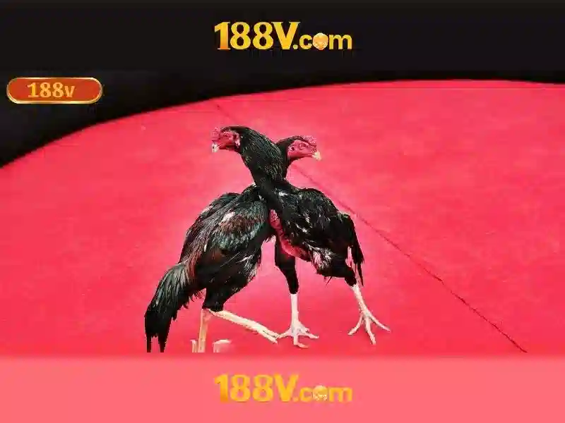 casino 188v: Trải nghiệm đỉnh cao và khuyến mãi 188v Soi kèo hiệp 1