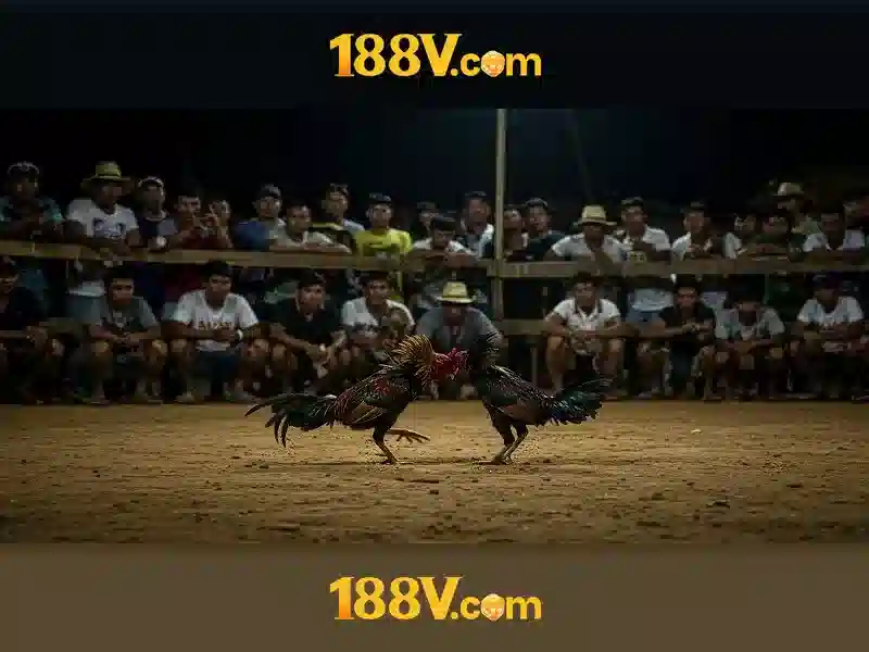 188v nhà cái – tổng quan chủ đề và giá trị cốt lõi 188v nhà cái – tổng quan chủ đề và giá trị cốt lõi