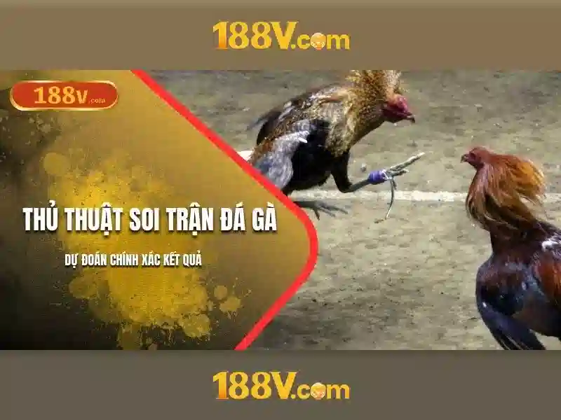 Tương lai của 188v Tương lai của 188v