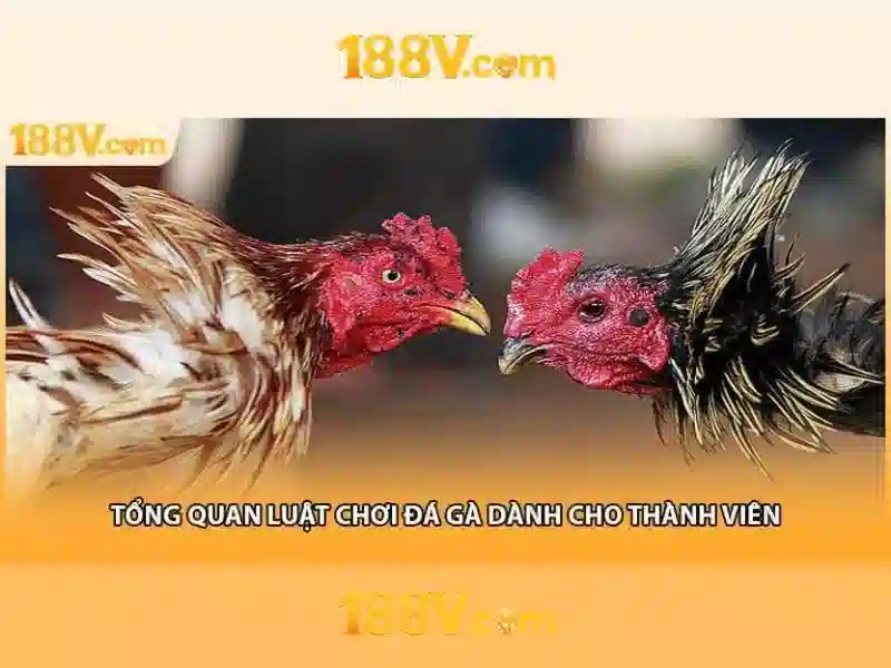 Đổi mới và tương lai\n\n<h>Kết luận</h>\n<p>188v, dù là khái niệm hay một dự án, mời gọi chúng ta nghĩ lại về cách chúng ta cảm nhận năng lượng, dữ liệu và sự sáng tạo.</p> Đổi mới và tương lai\n\n<h>Kết luận</h>\n<p>188v, dù là khái niệm hay một dự án, mời gọi chúng ta nghĩ lại về cách chúng ta cảm nhận năng lượng, dữ liệu và sự sáng tạo.</p>