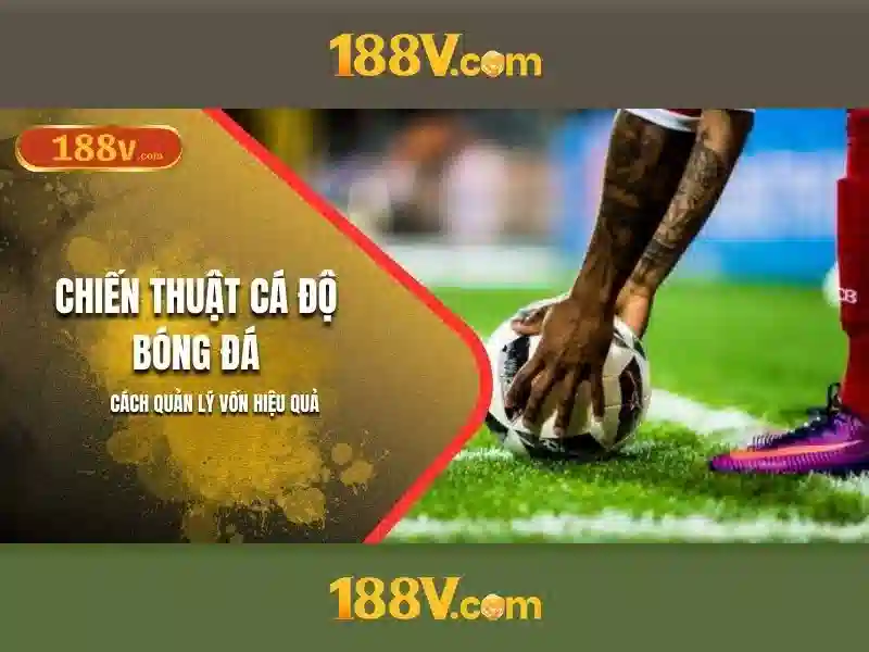 Tương lai và thách thức của 188v