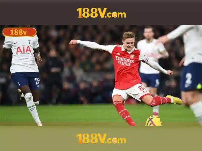 Trải nghiệm người dùng và phản hồi từ cộng đồng Trải nghiệm người dùng và phản hồi từ cộng đồng