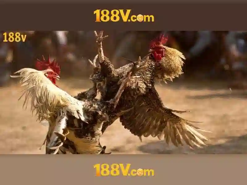 188v. com – Tổng quan chủ đề và giá trị cốt lõi 188v. com – Tổng quan chủ đề và giá trị cốt lõi