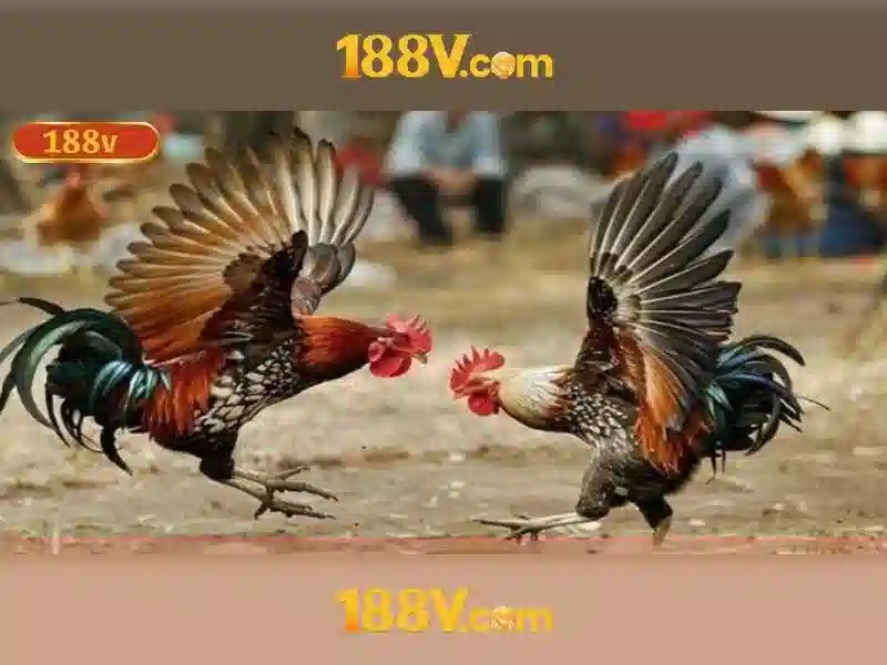 188v: Khái niệm và ứng dụng trong công nghệ Go88