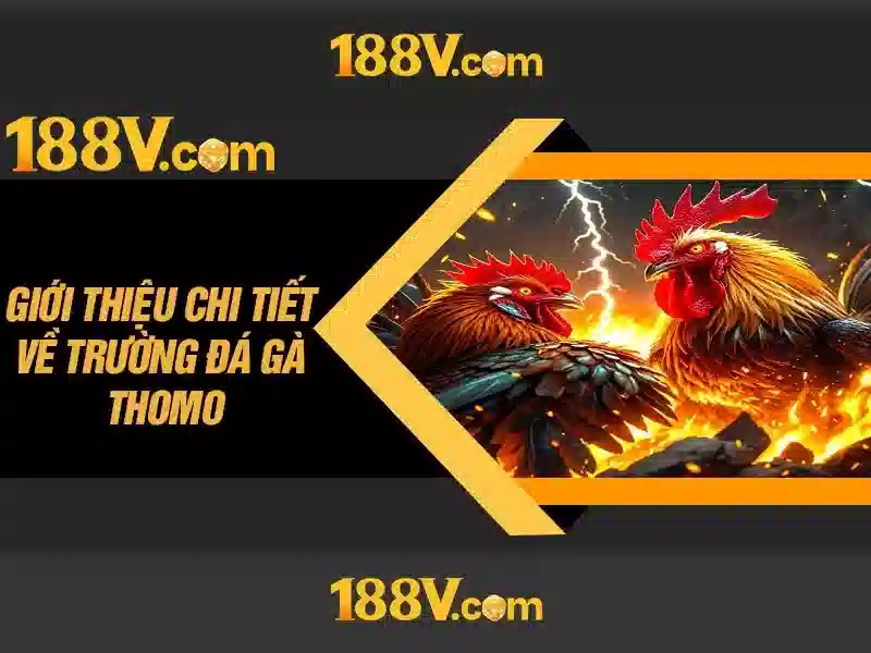 188v: Biểu tượng số và câu chuyện của nó Soi kèo hiệp 1