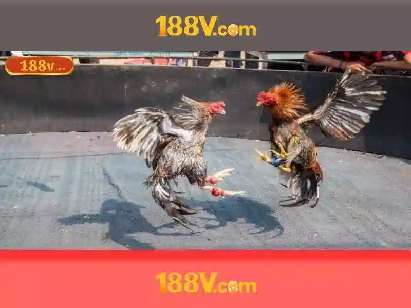 Đăng Nhập