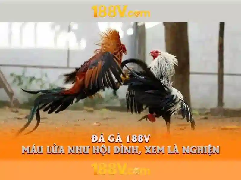 Nguồn gốc của 188V<h>Vai trò của 188V trong ngành công nghiệp và dân dụng</h><p>Trong sản xuất và lắp đặt thiết bị, điện áp 188V có thể đóng vai trò là tham số thiết kế cho biến áp, động cơ hoặc nguồn cấp có công suất vừa phải. Các kỹ sư phải đánh giá khả năng chịu đựng của linh kiện, hệ số an toàn và tính tương thích điện từ khi làm việc ở mức điện áp này. Bảo đảm an toàn và vận hành bền vững là ưu tiên hàng đầu.</p> Nguồn gốc của 188V<h>Vai trò của 188V trong ngành công nghiệp và dân dụng</h><p>Trong sản xuất và lắp đặt thiết bị, điện áp 188V có thể đóng vai trò là tham số thiết kế cho biến áp, động cơ hoặc nguồn cấp có công suất vừa phải. Các kỹ sư phải đánh giá khả năng chịu đựng của linh kiện, hệ số an toàn và tính tương thích điện từ khi làm việc ở mức điện áp này. Bảo đảm an toàn và vận hành bền vững là ưu tiên hàng đầu.</p>