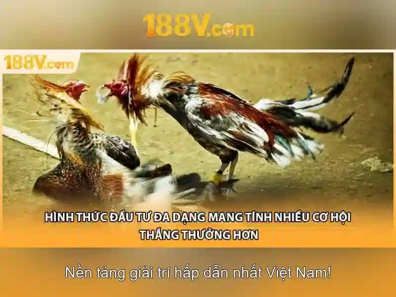 Soi kèo hiệp 1
