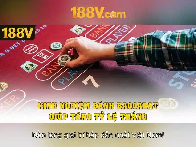 An toàn và bảo hộ