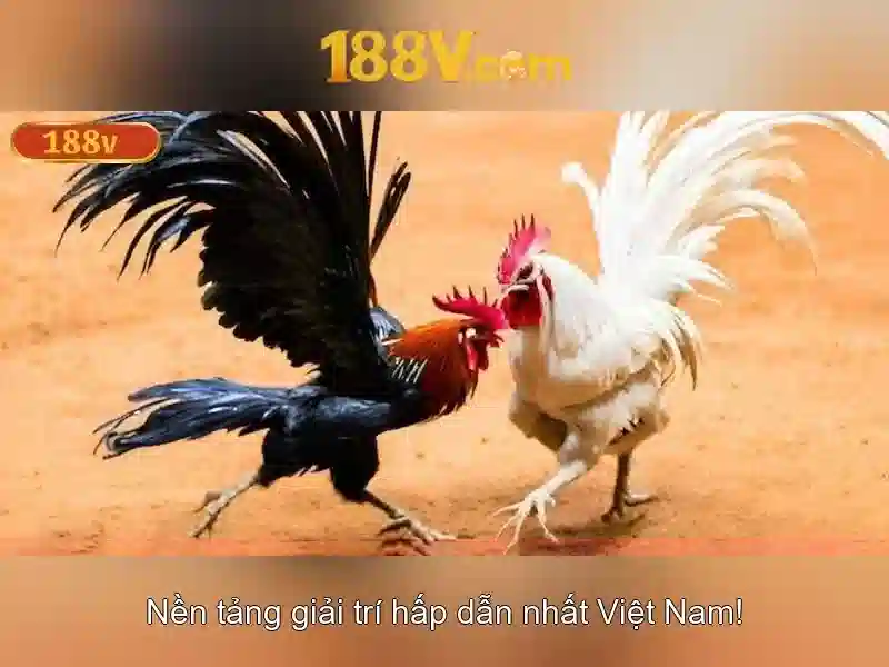 Ý nghĩa và ứng dụng