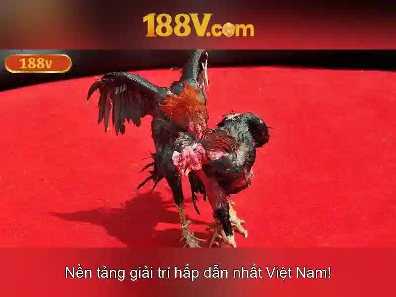 Nguồn gốc và ứng dụng Nguồn gốc và ứng dụng