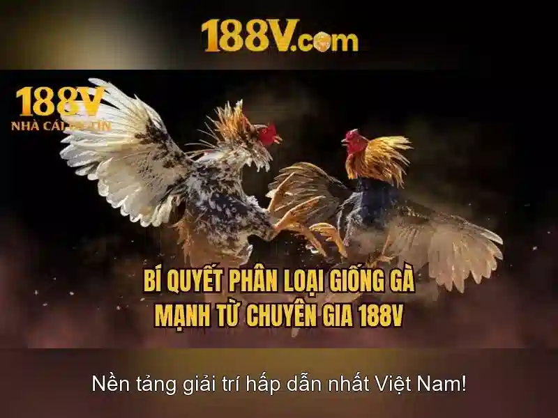 Nguồn gốc từ khóa và sứ mệnh