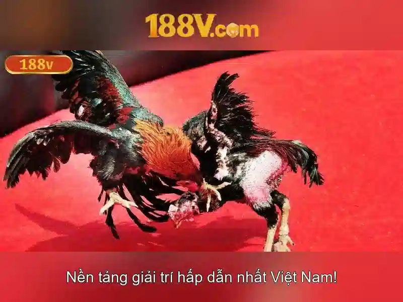 188v và sự lan tỏa trong đời sống hiện đại 188v và sự lan tỏa trong đời sống hiện đại