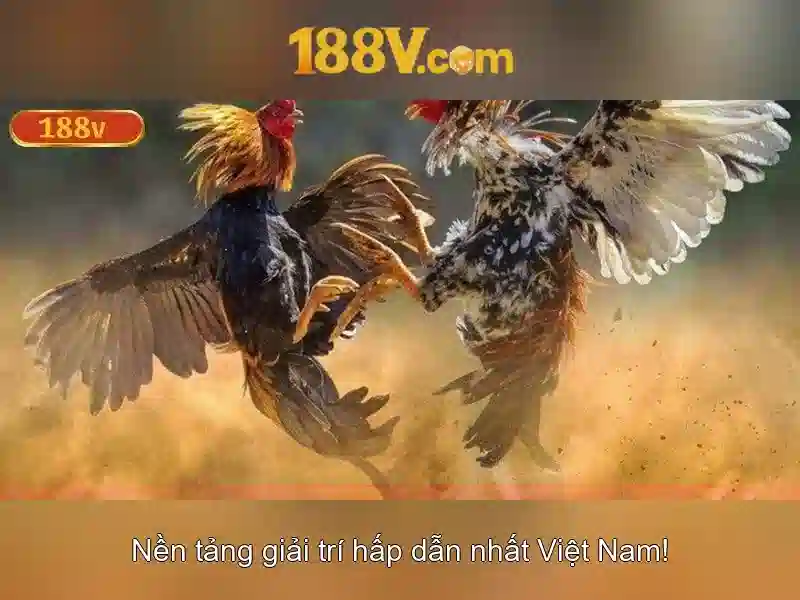 Rủi ro và khuyến cáo khi làm việc với 188V