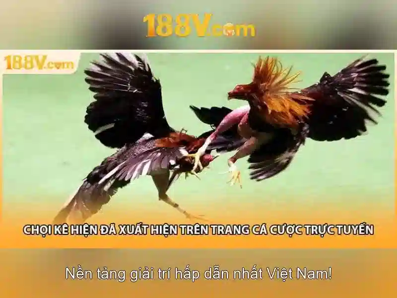 Nguồn gốc và ý nghĩa của 188v