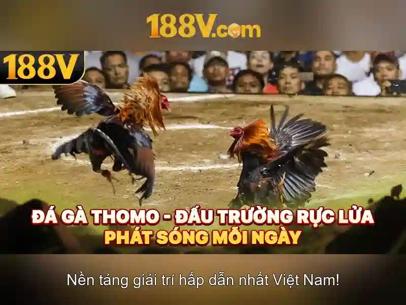 Đăng Nhập
