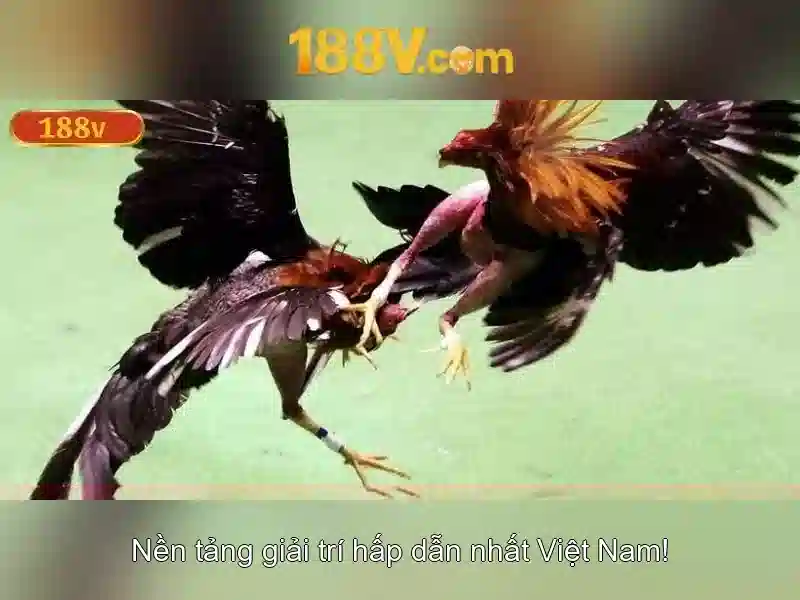 188v: Khám phá ý nghĩa và nguồn gốc Soi kèo hiệp 1