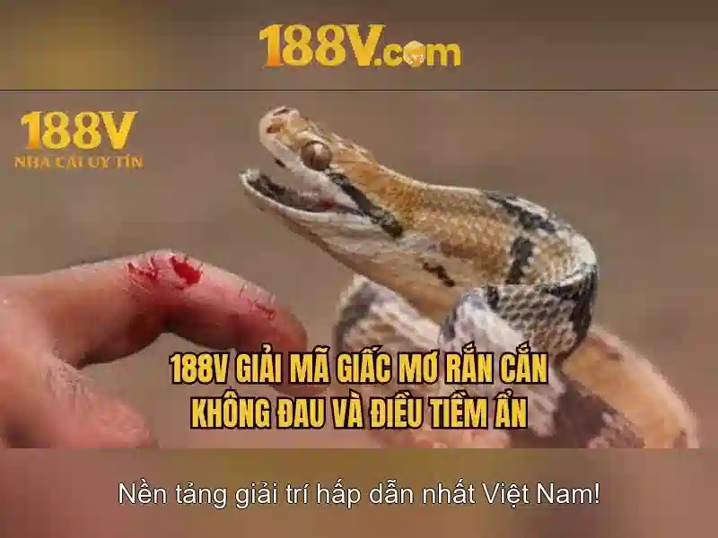 Khám phá 188v: một khung khái niệm cho sáng tạo số Soi kèo hiệp 1