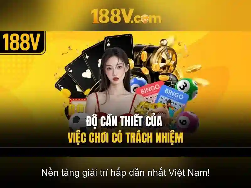 Kết luận và cách sử dụng có trách nhiệm