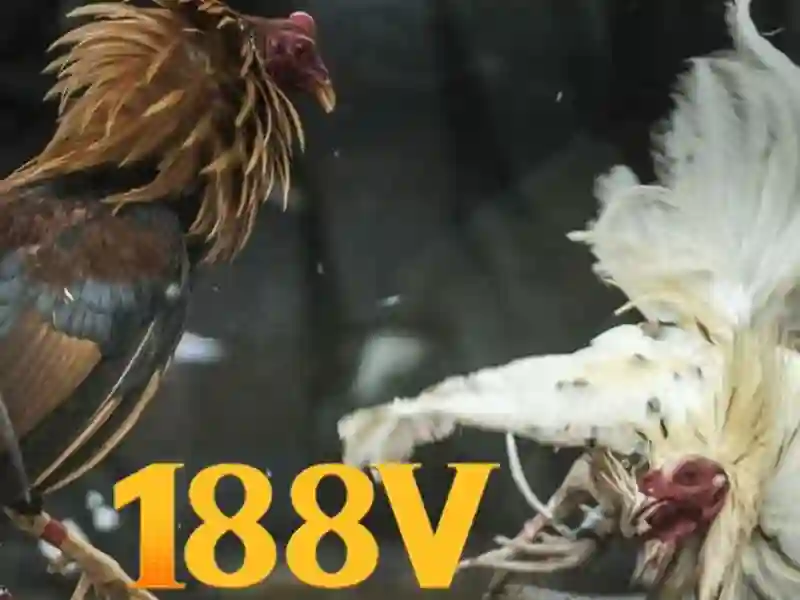 Trải nghiệm đăng ký 188v - Khái niệm và ứng dụng trong thông tin cờ bạc 1 Đăng Nhập