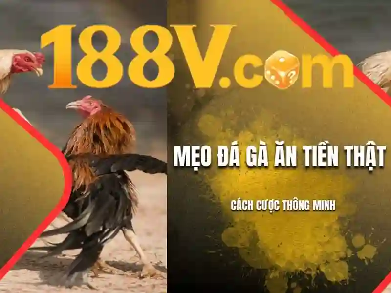 Nguồn gốc và ý nghĩa