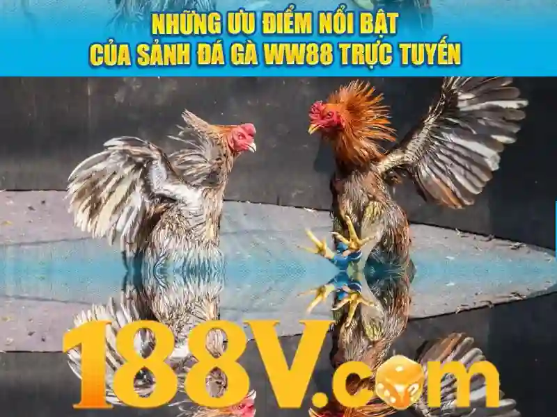 188v .com: Nền tảng tối ưu mang lại trải nghiệm 188v .com Soi kèo hiệp 1