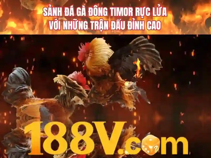 rút thưởng 188v – khám phá giá trị và hành trình thương hiệu Soi kèo hiệp 1